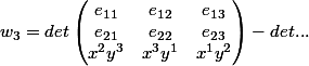 w_3=det \begin {pmatrix}e_{11}&e_{12}&e_{13}\\e_{21}&e_{22}&e_{23}\\x^2y^3&x^3y^1&x^1y^2 \end {pmatrix}- det ...